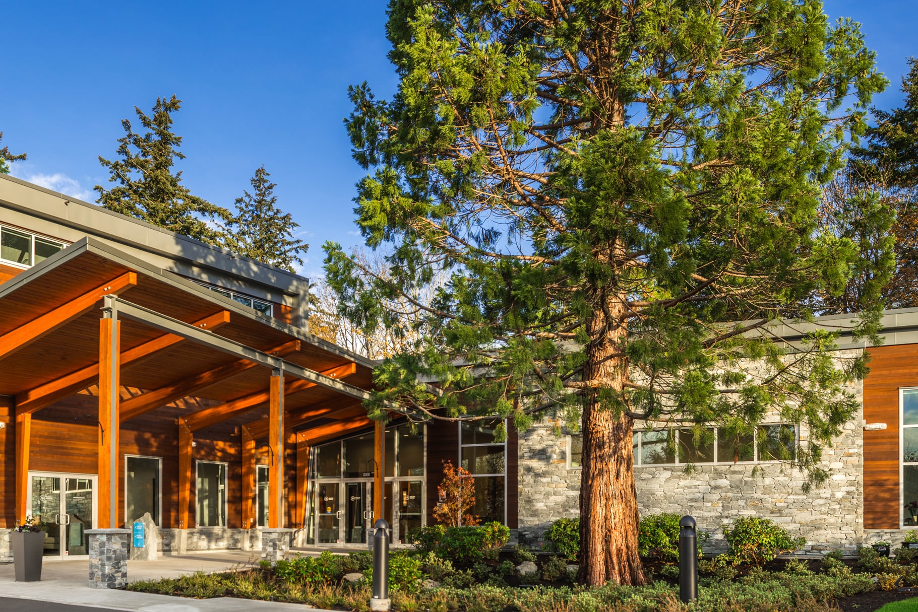 Front Tree- Entrance | McCall Gardens Funeral and Cremation Service